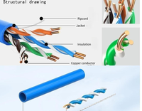 Câble réseau Ethernet Cat5e UTP BC, haute qualité, gaine intérieure/extérieure, fil LAN 4 paires