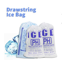 Sac en plastique pour glace de 8 lb, 10 lb, 5 kg avec poignée à cordon, sac en plastique pour glaçons