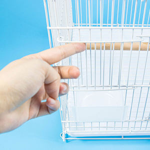 2024 Hete Verkoop Grote Vogelkooien Voor Papegaaien Kanarie Huisdier Kooi & Drager & Tas Voor Reizen - Product Image 5