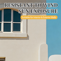 Peinture artistique inorganique à base de chaux, design biophilique, luxe naturel, respirante, aspect travertin, pour appartement, pour une maison saine