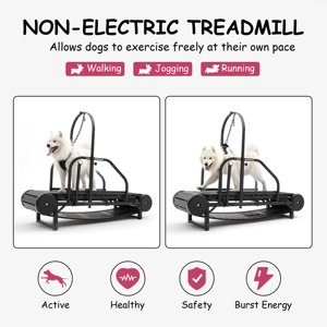Caminadora Segura y Cómoda para Perros, Mejora la Salud y Energía de tu Mascota - Product Image 4