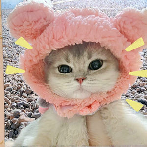 Büyük ayı şekli Pet şapka yeni yayın kış saç aksesuarı köpekler kediler için pamuk Polyester sevimli tasarım yaz bahar için - Product Image 2