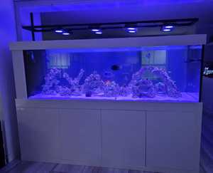 Aquarium sur mesure extra-large en verre pour poissons d'eau salée, coraux et animaux marins, avec verre ultra-clair à faible teneur en fer - Product Image 6