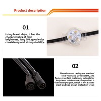Luz LED Puntual de 3 LED, DC12V DC24V, a Todo Color, Resistente al Agua para Exteriores, Fuente de Luz LED RGBW para Letreros Publicitarios Navideños