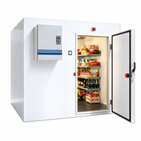 Équipement de chambre froide haute efficacité, chambre de congélation personnalisée, chambre froide commerciale, chambre froide de plain-pied, chambre froide industrielle