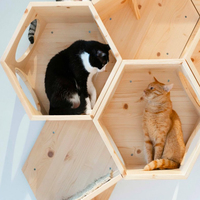 Perchoir mural pour chat, griffoir mural pour chat, litière pour chat, lits créatifs combinés pour chat, literie et meubles pour chat