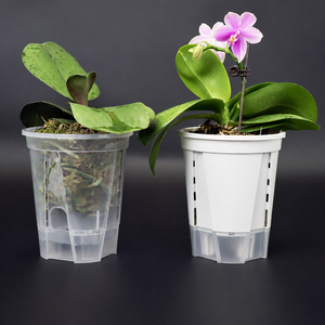 Maceta Transparente <span class=keywords><strong>de</strong></span> Plástico para Almacenamiento <span class=keywords><strong>de</strong></span> Agua, Blanca y Negra, para Orquídeas, Transpirable, con Control <span class=keywords><strong>de</strong></span> Raíces, Maceta para Personas con Poco Tiempo, para Interiores - Product Image 1