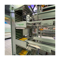Équipement automatisé pour élevages avicoles : Système de cages à poules pondeuses de type H avec système d'alimentation automatique