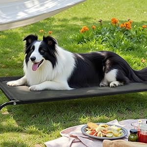 Военная детская кроватка для кошек и собак - Product Image 5