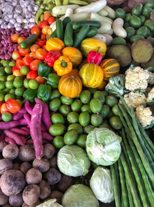 ปุ๋ยปุ๋ยหมักอินทรีย์ใหม่<span class=keywords><strong>ยา</strong></span>สมุนไพรจีนเน่า<span class=keywords><strong>เชื้อรา</strong></span>จุ<span class=keywords><strong>ล</strong></span>ินทรีย์ป<span class=keywords><strong>ล</strong></span>่อยช้ายาฆ่าแมลงการเกษตร - Product Image 6