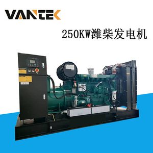 Groupe électrogène diesel Jiangsu Wantai 250 kW 320 kVA 50 Hz 1500 tr/min avec télécommande - Product Image 2