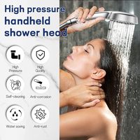 Pommeau de Douche Amovible Premium 3 Modes Haute Pression Chromé Noir Blanc avec Fonction Ionique – Ensemble Moderne