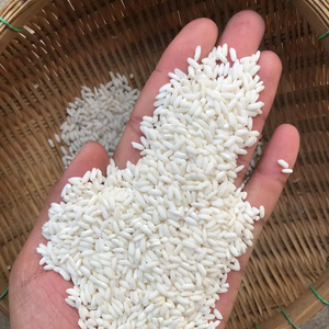 Arroz Glutinoso Vietnamita (IR4625) - Arroz Fresco, Suave y Ceroso de Alta Calidad para Dulces y Platos Tradicionales - Product Image 1
