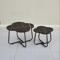Table basse moderne de petite taille pour salon, durable et facile à nettoyer, avec un design simple de table d'appoint pour canapé