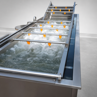 Fruit- en groenteverwerkingsmachines, fruit- en groentewasmachine, bubbelwasmachine voor fruit en groenten