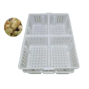 day old chick transport boxes/plastic box crrate for baby chicks HJ-DN021