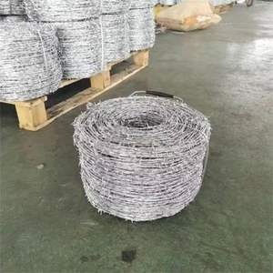 <span class=keywords><strong>ลวดหนาม</strong></span>มีเดือยโลหะและแกนเหล็กเพื่อความปลอดภัยชายแดนและรั้วสนามบิน - Product Image 4