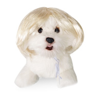 Perruques pour animaux de compagnie, queue de cheval dorée tendance, accessoires de Noël pour chats et chiens, pour Halloween et Noël