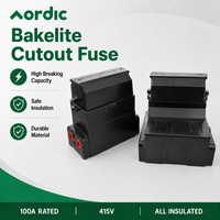 Porte-fusibles de protection électrique étanche ARODIC Série 7, 100A 1P+N, en bakélite, pour usage domestique