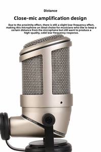 מיקרופונים ניידים ייעודיים לאולפני הקלטות, עיצוב הגברה קולית לטווח קרוב, עשויים מתכת - Product Image 3