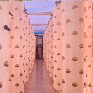 <span class=keywords><strong>Torre</strong></span> de Cultivo Hidropónico Automática Ytinghui con Bomba Modelo 005K para Cultivo en Agua Profunda y Riego por Goteo - Product Image 3