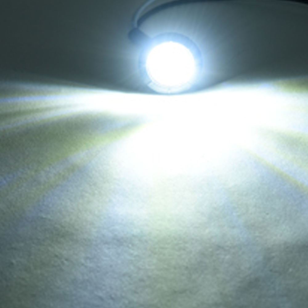 ธรรมชาติสีขาว