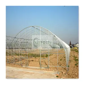 Парниковый каркас оцинкованная сталь использованное парниковое стекло для продажи одиночный туннельный парник