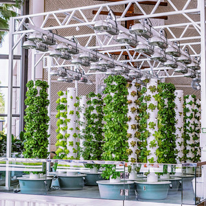 NOUVEAU Système de jardinage vertical aquaponique et hydroponique, kit de culture intérieur avec pompe, écologique, facile à utiliser - Product Image 4