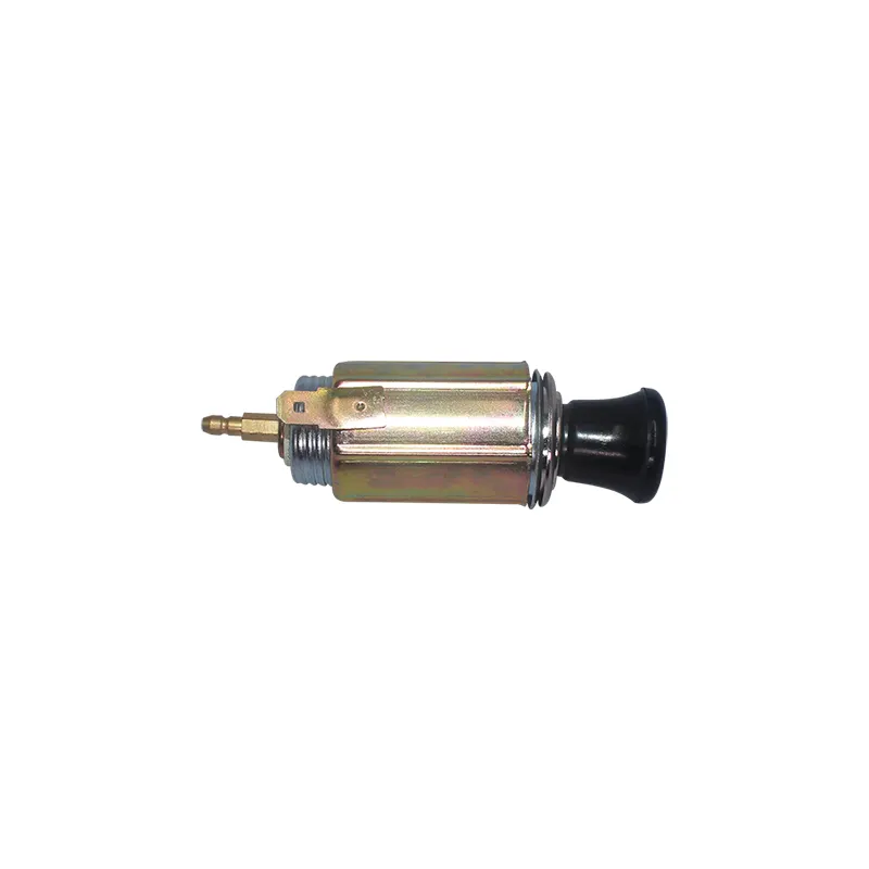 Isqueiro universal do carro para Microcar 12V 24V Auto Parte