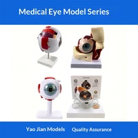 Modelo de Simulación de Ojo Humano MAXCARE MAC-YJ89, Globo Ocular Anatómico de Oftalmología de PVC con Aumento de 6 Veces para Enseñanza y Entrenamiento en Escuelas