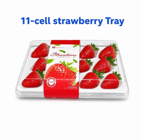 Barquette personnalisée en PET anti-buée pour fraises avec couvercle ventilé, 11, 15, 20 cellules, doublure EVA, conteneur d'emballage pour fruits, vente en gros OEM