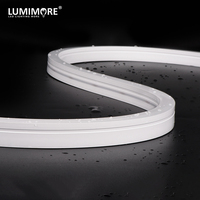 Nouvelle Arrivée Bande Lumineuse LED en Silicone Dimmable 48V, Courbure Latérale, Néon Flexible Blanc RGB, IP67 Résistante aux UV, Horizontale Plate 12*18