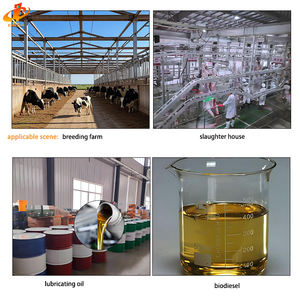 Machine d'extraction d'huile de graisse animale de moyenne taille 3T, ligne de production de suif de bœuf et de mouton pour abattoir de bovins - Product Image 2