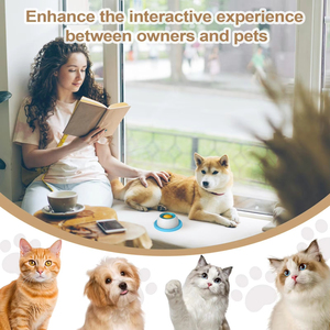 Gamelle automatique anti-glouton en ABS pour <span class=keywords><strong>chats</strong></span> et chiens, jouet d'activités et accessoire d'intérieur pour animaux de compagnie - Product Image 2