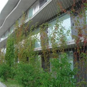 La filet de soutien pour plantes grimpantes peut aider les cultures à s'engager dans la croissance et empêcher les plantes grimpantes de ne plus <span class=keywords><strong>avoir</strong></span> <span class=keywords><strong>rien</strong></span> sur lequel s'appuyer. - Product Image 1