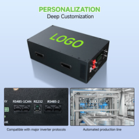 Boîtier de Batterie LiFePO4 DIY en Stock en Pologne, 16S 48V 280Ah 300Ah 314Ah, Boîtier Métallique de Rangement DIY pour Clients