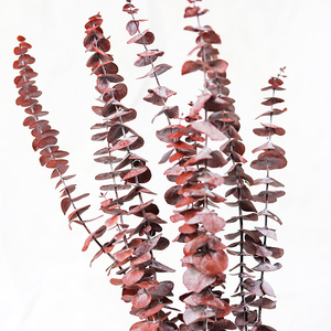 Vela de flores secas Yunnan, decoración de flores secas reales, venta al por mayor, decoraciones de boda para interiores, <span class=keywords><strong>buquet</strong></span> de flores secas degradables - Product Image 6