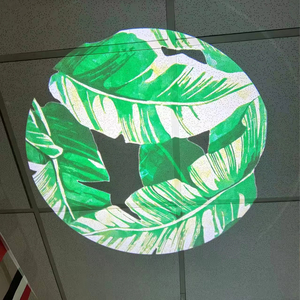 <span class=keywords><strong>Projecteur</strong></span> Gobo d'extérieur étanche avec rotation d'image pour éclairage d'<span class=keywords><strong>arbre</strong></span> - Product Image 1