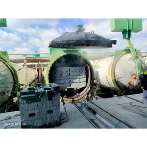 Grúa automática AAC de fábrica, <span class=keywords><strong>placa</strong></span> lateral, bloque de <span class=keywords><strong>gas</strong></span> autoclave, línea de producción de bloques aac, 100.000 M3/año - Product Image 5
