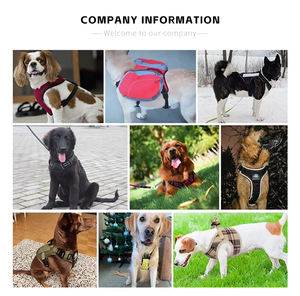 Ayarlanabilir yansıtıcı hava Mesh Polyester moda köpek koşum hiçbir çekme yastıklı yelek XS/S/M boyutu renkli büyük köpek yürüyüş - Product Image 5