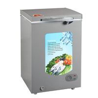 Réfrigérateur congélateur horizontal à porte pleine avec compresseur efficace au design unique de 100 L