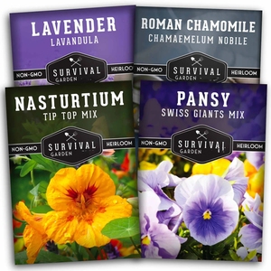 4 kits de flores para jardín doméstico incluyen Lavanda y Manzanilla romana y capuchina y pensamiento - Product Image 5
