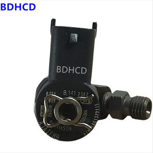 Injektor Bahan Bakar Common Rail Berkualitas Tinggi 0445110509 untuk Bos Ch untuk Mesin Diesel FAW Jiefang Dalian - Product Image 4