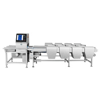 Automatisch visueel weeg- en sorteersysteem voor groenten en fruit, multi-channel