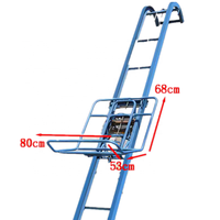 Vente chaude plate-forme élévatrice électrique à chargement par pointe élevée petit ascenseur de cargaison ascenseur à échelle électrique avec plateau