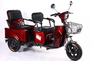 Vendita calda <span class=keywords><strong>bicicletta</strong></span> elettrica a <span class=keywords><strong>3</strong></span> <span class=keywords><strong>ruote</strong></span> per adulti Open-Type triciclo elettrico per adulti - Product Image 3