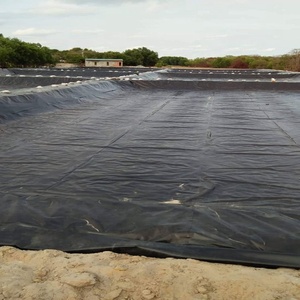 Venta caliente Certificados CE Geomembrana impermeable de HDPE Ldpe para lagunas de lodo y estanques de algas - Product Image 5