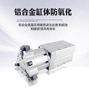 Cilindro Rotatorio YCMRS2-16D, Cuerpo de Aluminio, Motor Neumático, Conexión Roscada, Estructura No Estándar - Product Image 4