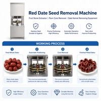 Machine voor het verwijderen van dadelpitten, fruitpitverwijderaar, pruimenpitverwijderaar, dadelpitverwijderingsapparaat
