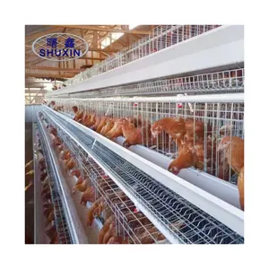 Hot Sale Egg Layer Chicken Cage For Poultry Farm Hens House For 1000 chickens
